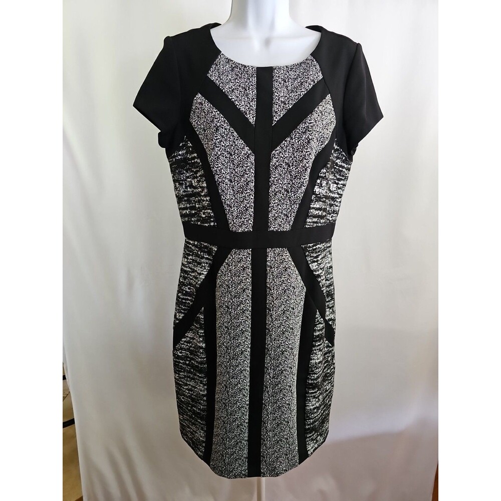 SANDRA DARREN Size 10 Shift Dress Black White Short Sleeve Stretch Knit